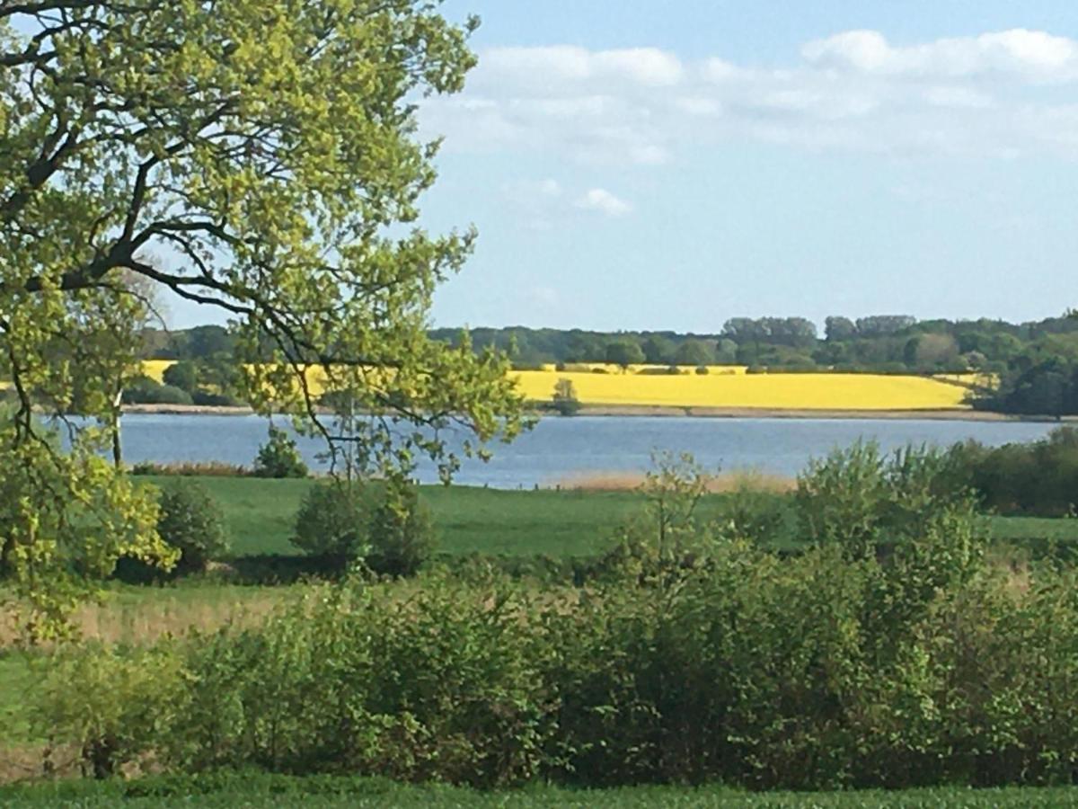 Ferienhaus Nr 4 Goltoft-Schlei Brodersby-Goltoft Eksteriør billede